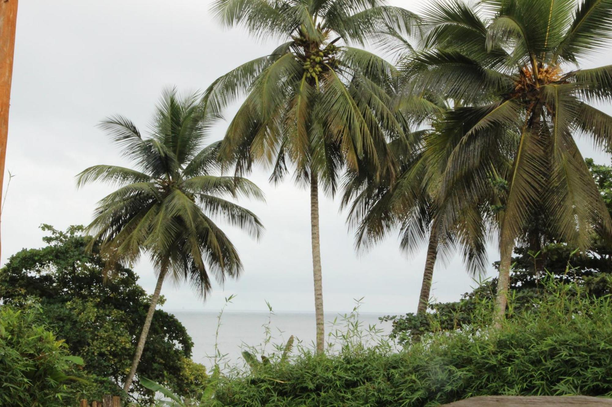 Ocean-Si Mansion Hotel Kribi Luaran gambar
